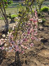 김영순님의 작성글 사진