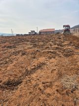 김종옥님의 작성글 사진