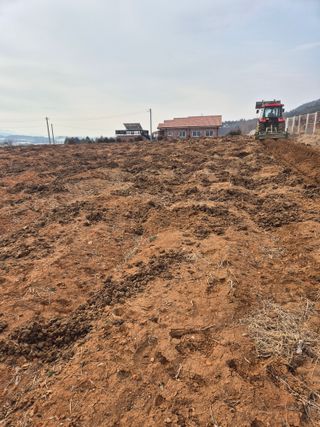 김종옥님의 참깨 · 영농일지 작성글 사진
