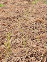 황미순님의 작성글 사진