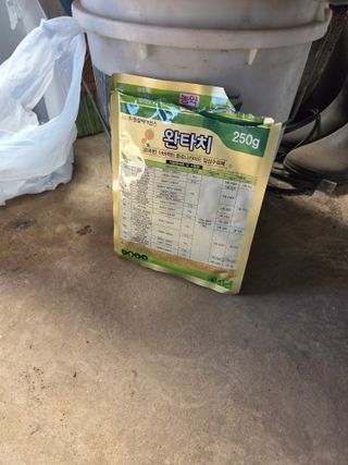 제주온님의 기타작물 · 영농일지 작성글 사진