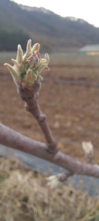 김종식님의 기타작물 · 영농일지 작성글 사진