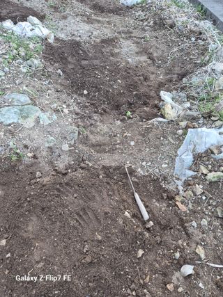 덕포킴님의 기타작물 · 영농일지 작성글 사진