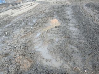 김홍중님의 두릅 · 영농일지 작성글 사진