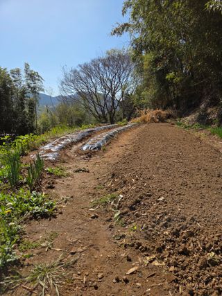 한병훈님의 고추 · 영농일지 작성글 사진