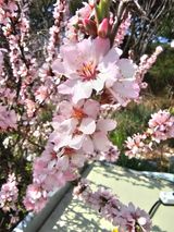 이미옥님의 작성글 사진