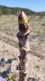 장흥 모경화 님의 작성글 사진