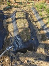 진전님의 작성글 사진