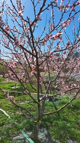 주윤발이님의 작성글 사진