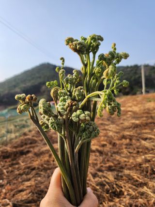 황미순님의 작성글 사진