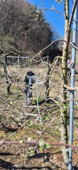 강성분님의 작성글 사진