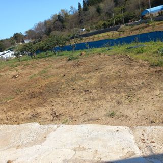 김건우님의 기타작물 · 영농일지 작성글 사진