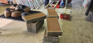 강연수님의 벼 · 영농일지 작성글 사진