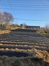 팜모닝 기타작물·영농일지 게시글 이미지