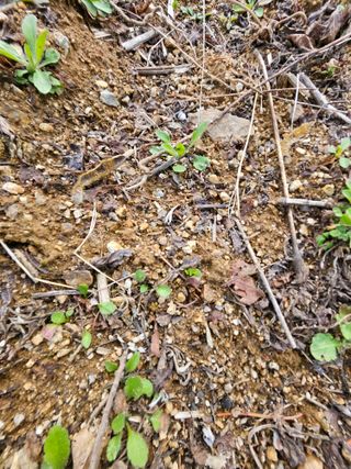 김천양평님의 기타작물 · 영농일지 작성글 사진