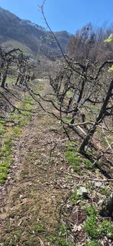 강성분님의 작성글 사진