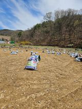 팜모닝 기타작물·영농일지 게시글 이미지