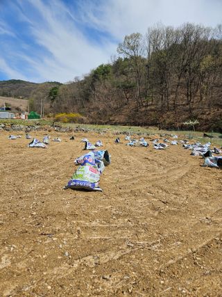 드라곤해드님의 기타작물 · 영농일지 작성글 사진