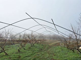 김정훈님의 복숭아 · 영농일지 작성글 사진