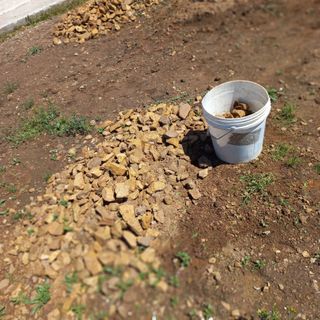 김건우님의 기타작물 · 영농일지 작성글 사진