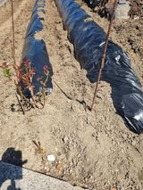 김용대님의 작성글 사진