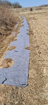 이복길님의 작성글 사진