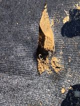 박병철님의 작성글 사진