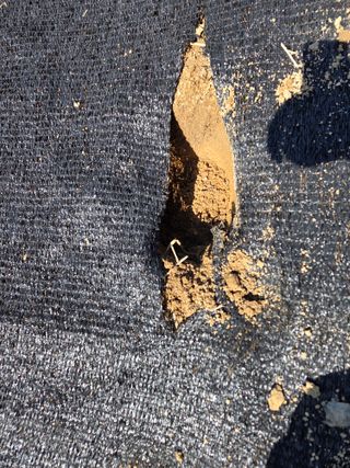 박병철님의 매실 · 영농일지 작성글 사진