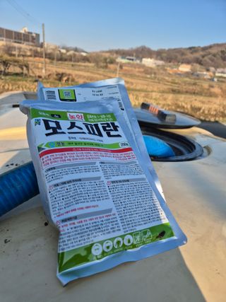 신인농원님의 기타작물 · 영농일지 작성글 사진