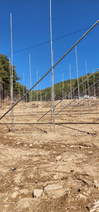 이철님의 기타작물 · 영농일지 작성글 사진