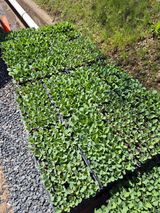 조성민님의 작성글 사진