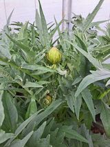 한림한경님의 작성글 사진