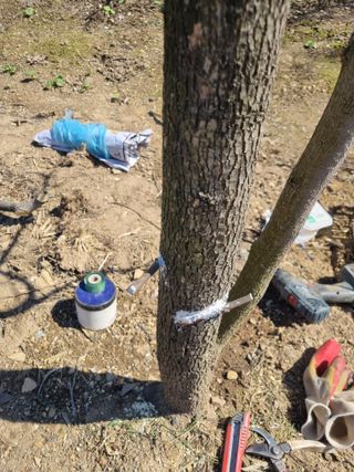 김용대님의 기타작물 · 영농일지 작성글 사진