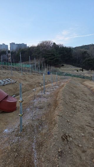 김기득 님의 사과 · 영농일지 작성글 사진