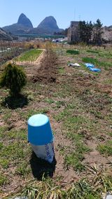 이상철님의 작성글 사진