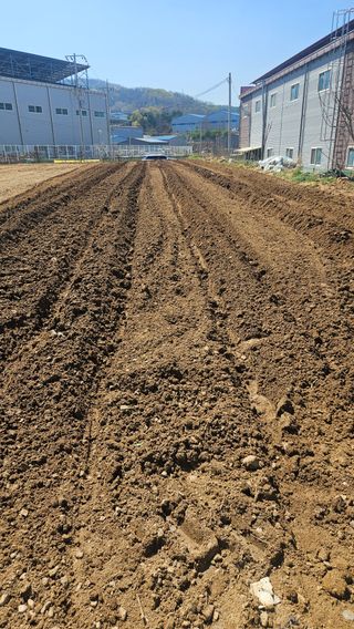 이순정님의 고추 · 영농일지 작성글 사진