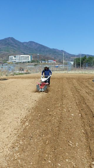 오동추님의 기타작물 · 영농일지 작성글 사진