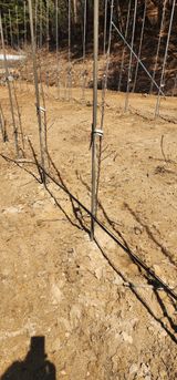 이철님의 작성글 사진