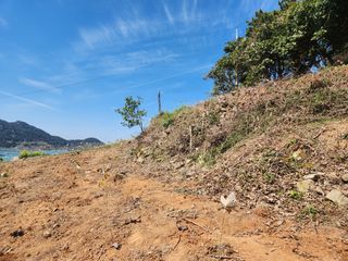 풀과전쟁님의 기타작물 · 영농일지 작성글 사진