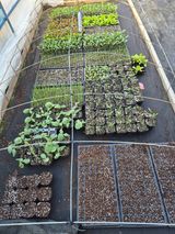 팜모닝 기타작물·영농일지 게시글 이미지