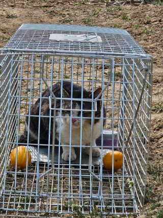 참외님의 기타작물 · 영농일지 작성글 사진