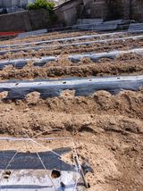 최유순님의 작성글 사진