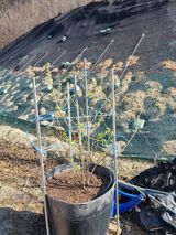 참깨16081님의 작성글 사진