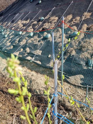 참깨16081님의 기타작물 · 영농일지 작성글 사진