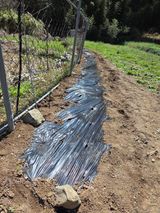 최성욱님의 작성글 사진