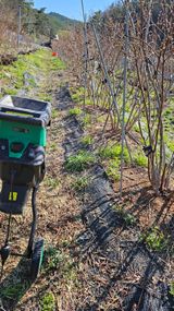 대봉농원 이경화님의 작성글 사진