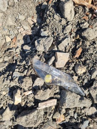 김용대님의 기타작물 · 영농일지 작성글 사진