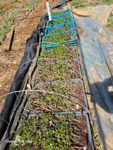 김종협님의 작성글 사진