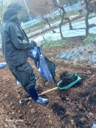 최연태님의 기타작물 · 영농일지 작성글 사진