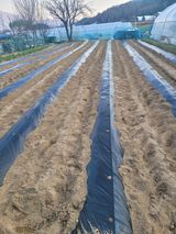 민원배님의 작성글 사진